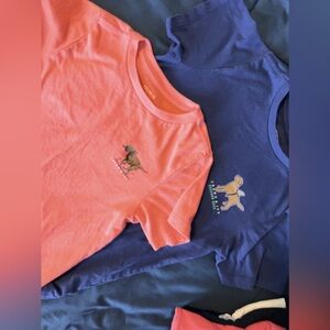 2 Crown & Ivy Boys summer crew t-shirts